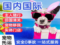 宜春明月山航空运输国际宠物托运 【国